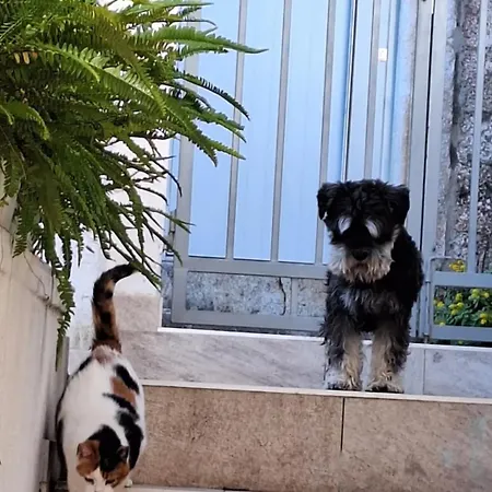 Haracic Апартаменты Хвар